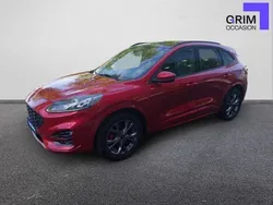 Rouge Utilisé 2024 Ford Kuga ST-Line X SUV | 34 990 € (Prix cher)
