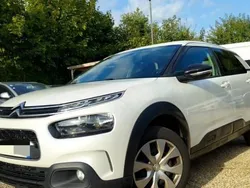 Utilisé 2019 Citroën C4 Cactus Feel Citadine | 10 990 € (Prix assez cher)