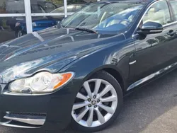 Utilisé 2009 Jaguar XF Portfolio Berline | 14 900 €
