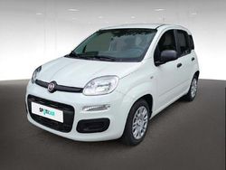 Blanc Utilisé 2025 Fiat Panda Classica Citadine | 15 790 € (Prix juste)