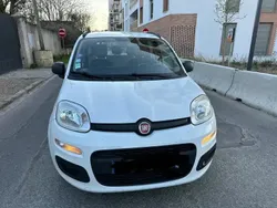 Utilisé 2014 Fiat Panda Citadine | 6 000 € (Prix juste)