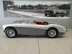 Autres Occasion 1956 Austin Healey 100 Cabriolet | 59 900 €