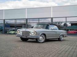 Argent Utilisé 1969 Mercedes 280 SE Cabriolet | 489 000 €