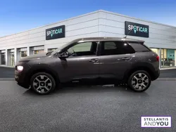 Gris Utilisé 2020 Citroën C4 Cactus PureTech Citadine | 10 990 € (Prix juste)