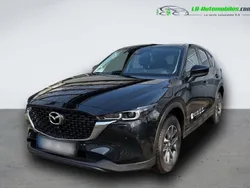 Utilisé 2024 Mazda CX-5 SUV | 36 000 € (Prix juste)