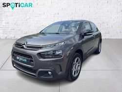 Gris Utilisé 2020 Citroën C4 Cactus Feel Citadine | 9 990 € (Prix juste)