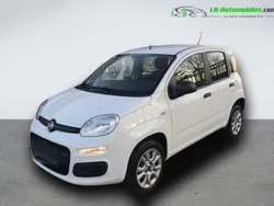 Utilisé 2020 Fiat Panda Citadine | 13 500 € (Prix juste)