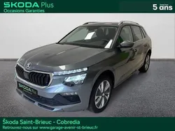 Gris Utilisé 2024 Skoda Kamiq Selection SUV | 24 890 € (Prix assez cher)