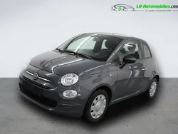 Utilisé 2021 Fiat 500 Citadine | 14 900 € (Prix assez cher)