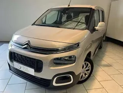 Beige Utilisé 2020 Citroën Berlingo Live Monospace | 16 990 € (Prix juste)