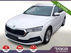 Blanc Utilisé 2021 Skoda Octavia Break | 23 288 € (Super prix)