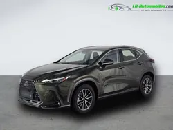 Utilisé 2023 Lexus NX350h | 47 300 € (Prix juste)