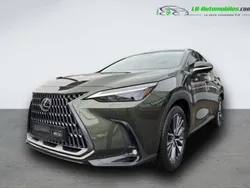 Utilisé 2024 Lexus NX350h | 65 500 €