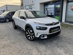 Blanc Utilisé 2019 Citroën C4 Cactus Shine Citadine | 9 990 € (Prix juste)