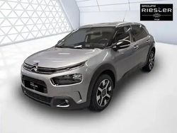 Gris Utilisé 2020 Citroën C4 Cactus PureTech Citadine | 11 870 € (Prix assez cher)