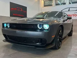 Gris Utilisé 2016 Dodge Challenger Coupé | 23 400 €