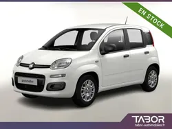 Blanc Nouvelle 2025 Fiat Panda Citadine | 13 864 € (Super prix)