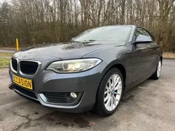 Gris Utilisé 2017 BMW 218 Sport Line Coupé | 9 990 €