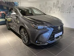 Gris Utilisé 2023 Lexus NX450h+ Executive Line SUV | 55 900 € (Prix juste)