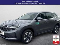 Gris Nouvelle 2025 Skoda Kodiaq Selection SUV | 52 118 € (Prix cher)