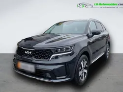 Utilisé 2023 Kia Sorento 2 SUV | 55 800 € (Prix assez cher)