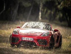 Utilisé 2020 Porsche 718 Boxster Cabriolet | 117 718 € (Prix assez cher)