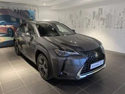 Gris Utilisé 2023 Lexus UX 250h SUV | 30 900 € (Prix juste)
