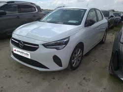 Blanc Utilisé 2023 Opel Corsa Edition Citadine | 14 489 € (Bon prix)