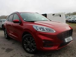 Rouge Utilisé 2020 Ford Kuga ST-Line SUV | 18 500 € (Bon prix)