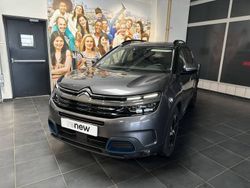 Gris Utilisé 2020 Citroën C5 Aircross Shine SUV | 20 270 € (Prix juste)