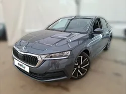 Gris Utilisé 2021 Skoda Octavia Business Line Berline | 18 890 € (Prix juste)