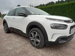 Blanc Utilisé 2020 Citroën C4 Cactus Feel Citadine | 12 990 €