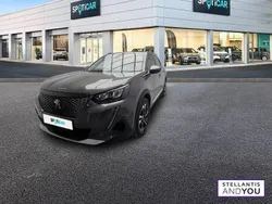 Gris Utilisé 2020 Peugeot 2008 Allure SUV | 14 490 € (Prix assez cher)