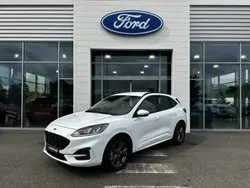 Blanc Utilisé 2024 Ford Kuga Business Edition SUV | 29 299 € (Prix juste)