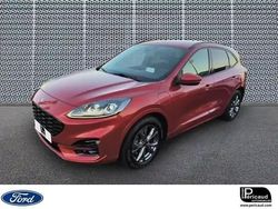 Rouge Utilisé 2020 Ford Kuga S SUV | 22 990 € (Prix assez cher)