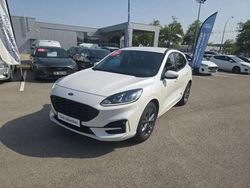 Blanc Utilisé 2023 Ford Kuga Business Edition SUV | 28 499 € (Prix juste)