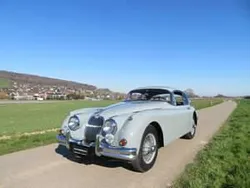 Gris Utilisé 1959 Jaguar XK S Coupé | 85 509 €