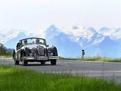 Vert Utilisé 1956 Jaguar XK Cabriolet | 123 500 €