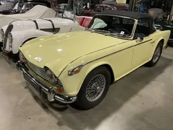 Triumph TR 250