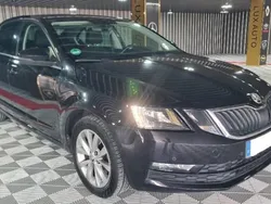 Utilisé 2018 Skoda Octavia Business Line Berline | 12 990 € (Prix juste)