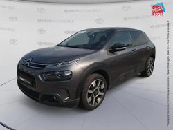 Gris Utilisé 2019 Citroën C4 Cactus PureTech Citadine | 10 499 € (Prix juste)