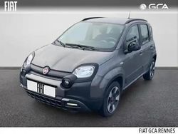 Gris colosseo métallisé Utilisé 2022 Fiat Panda Cross Cross Citadine | 16 240 €