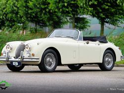 Blanc Utilisé 1959 Jaguar XK Cabriolet | 124 500 €