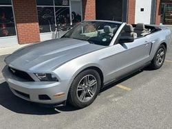 Utilisé 2010 Ford Mustang Cabriolet | 26 490 €