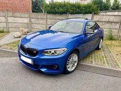 Bleu Utilisé 2017 BMW 218 M Sport Coupé | 16 900 € (Prix assez cher)