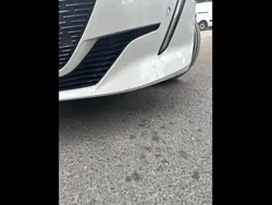Blanc Utilisé 2021 Peugeot 208 GT Citadine | 15 950 € (Prix assez cher)