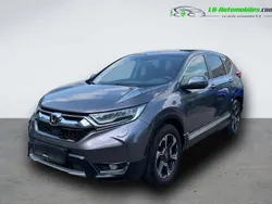Utilisé 2019 Honda CR-V SUV | 27 200 € (Prix juste)