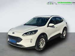 Utilisé 2022 Ford Kuga SUV | 26 000 € (Bon prix)