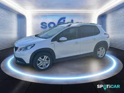 Blanc Utilisé 2019 Peugeot 2008 Signature Sky SUV | 9 790 € (Prix juste)