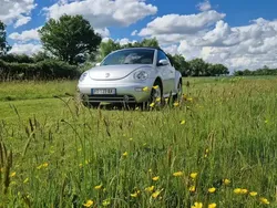 VW Beetle